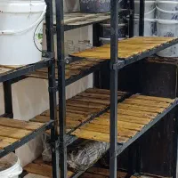 قفسه مغازه|فروشگاه و مغازه|کارون, |دیوار