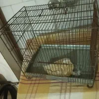 قفس پرنده جنس قدیمی