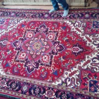 یک جفت فرشه ۶متری