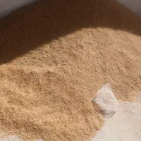 جوبذری ویلما اتمی..سرآرودوجوشانه