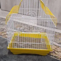 قفس قناری مرغ عشق