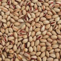 پسته درجه یک از تولید به مصرف|عمده‌فروشی|تهران, هروی|دیوار