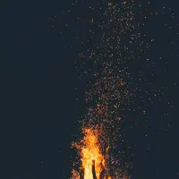 مقدار زیادی چوب  از یک متر تا سه