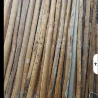 خرید چوب خریدار چوب تخته تنه درخت اره کاری