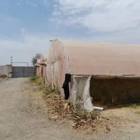 فروش زمین چهاردیواری گلخانه|فروش دفتر صنعتی، کشاورزی، تجاری|ری, امین آباد|دیوار