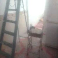 یک ظبط نردبان جاسیب زمینی پیازی