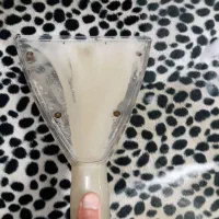 یک خانم جهت همکاری در مجموعه مبل شویی دلپسند|استخدام سرایداری و نظافت|لنگرود, |دیوار