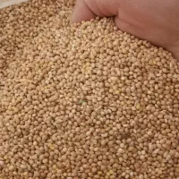 ارزن تمیز درجه یک