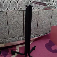 رگال