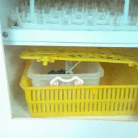 دستگاه جوجه کشی ۴۲تایی|لوازم جانبی حیوانات|ملایر, |دیوار