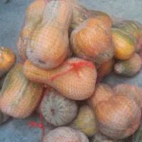 کدو حلوای. بشرط شیرین ‌