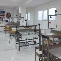 استخدام نیروی هنری
