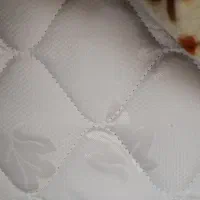 تشک نوجوان رز خواب