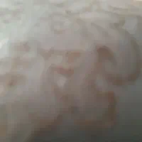 اشیا