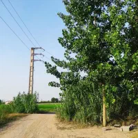 الحاق-به-مسکونی-302متری-سند-دار