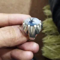 شجر|جواهرات|بیجار, |دیوار