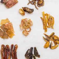 تشویقی حیوانات خانگی