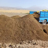 کود حیوانی گوسفندی