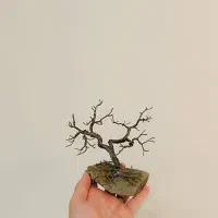 مجسمه درخت سیمی کوچک|کلکسیون و سرگرمی|محمدشهر, ولدآباد|دیوار