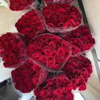 گل رز هلندی بسته ۲۰ عددی ۳۵۰