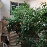 دوبلکس با اِصالَت کاشانی|فروش خانه و ویلا|یزد, |دیوار