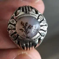 شجر تک درخت