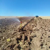 فروش کود حیوانی تمیز