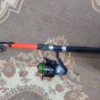 لنسر ماهیگیری