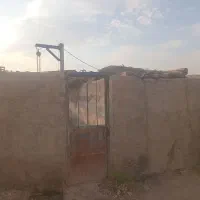 دامداری-یا-گاوداری-فروشی-2-عدد