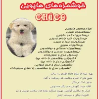 تشویقی طبیعی و ارگانیک سگ