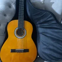 فروش گیتار همراه با کیف برزنتی