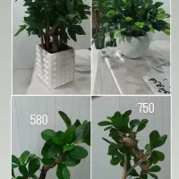 درختچه مصنوعی مشابه طبیعی