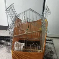قفس پرنده