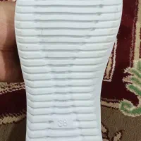 کفش نو|کیف، کفش، کمربند|زابل, |دیوار