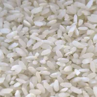 برنج کامفیروزی خانیمن فقط ۲۴۰ هزار تومان بشرط