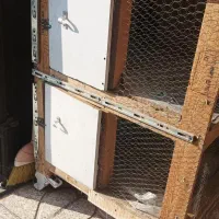 جای مرغ دو طبقه همراه سه عدد مرغ|حیوانات مزرعه|اسلام‌شهر, شهرک مهدیه|دیوار