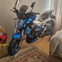 بلنتا 250 جفت ، خانگی در حد