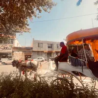 تور قزوین جمعه۱۴ آذر|تور و چارتر|رشت, حاجی آباد|دیوار