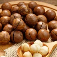 ماکادمیا نهال خوشه‌ای درجه یک