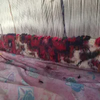 فرش 2در 160|فرش|تبریز, |دیوار