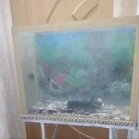 اکواریوم