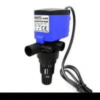 ماهی و لوازم اکواریم|ماهی|قرچک, زیبا شهر|دیوار