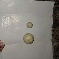سنگ زیر آسیاب