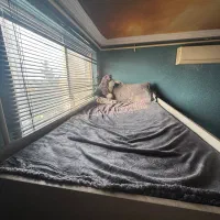 تخت دو طبقه تمام ام دی اف|تخت و سرویس خواب|آمل, |دیوار