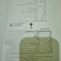 کتاب رمان برگزیده اثر کایرا کاس|کتاب و مجله ادبی|اهواز, کوی نفت|دیوار