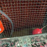 سایلنت باکس ماینر (فول امکانات)|قطعات و لوازم جانبی رایانه|سیرجان, |دیوار