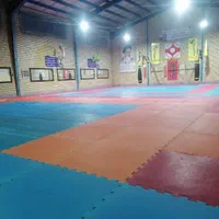 آموزش ورزش رزمی تکواندو|خدمات آموزشی|بیرجند, |دیوار