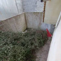 (اجاره ۵۵ متری)مستقل و تمیز /یکخواب با پارکینگ|اجارهٔ آپارتمان|لنگرود, |دیوار