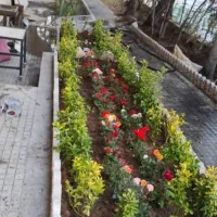 خدمات باغبانی سمپاشی هرسکاری سم سوسک سراسر تهران|خدمات باغبانی و درختکاری|تهران, تجریش|دیوار