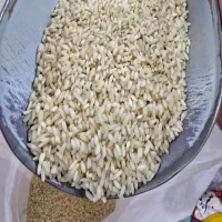 عرضه مسقیم برنج عنبر بو مجلسی درجه یک ارگانیک